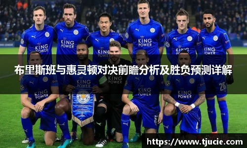 布里斯班与惠灵顿对决前瞻分析及胜负预测详解