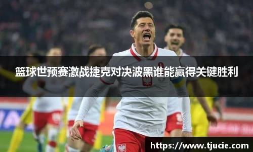 篮球世预赛激战捷克对决波黑谁能赢得关键胜利
